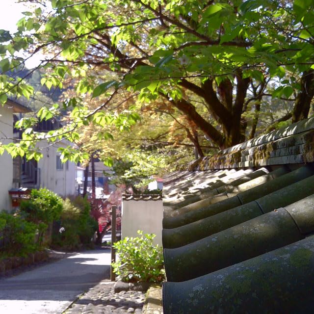 CHUZHAO【オリジナル】| デジタル二眼カメラ